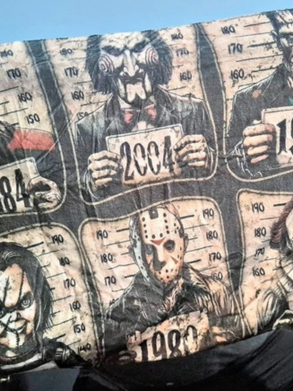 Horror Graphic Pillow Case 1 Piece